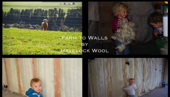 Wool Insulation..let nature and longevity prevail!