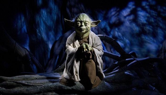 Blitzscaling Lessons From Master Yoda: May The Force Be With You
