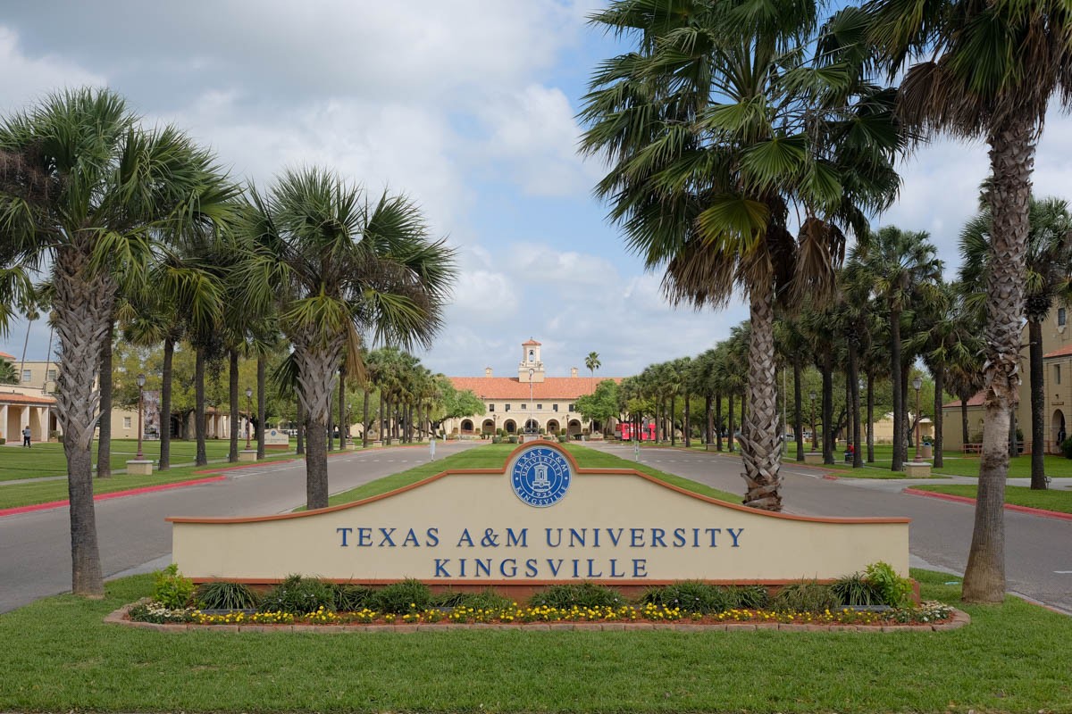 Texas A & M University >> Texas A M University Kingsville Linkedin Texas A & M University >> Texas A M University Kingsville Linkedin