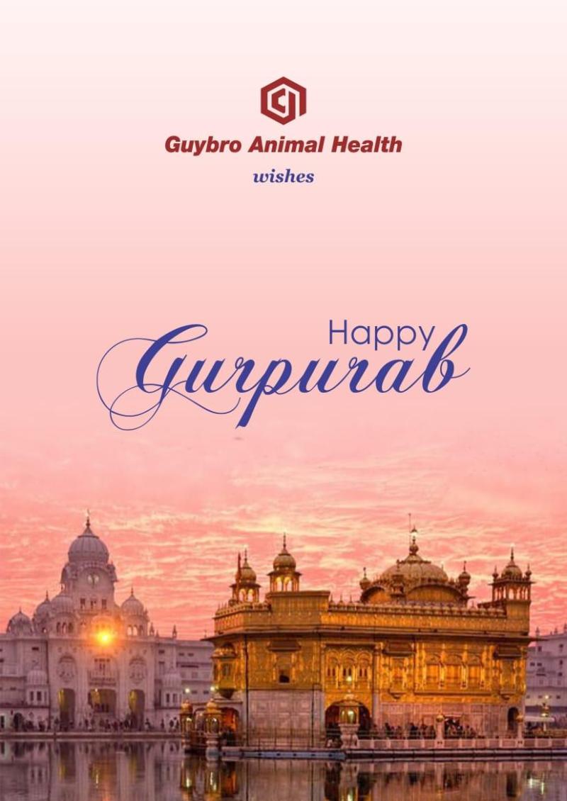 Ravindra Singh - Dy. General Manager - Guybro Animal Health P. Ltd. |  LinkedIn