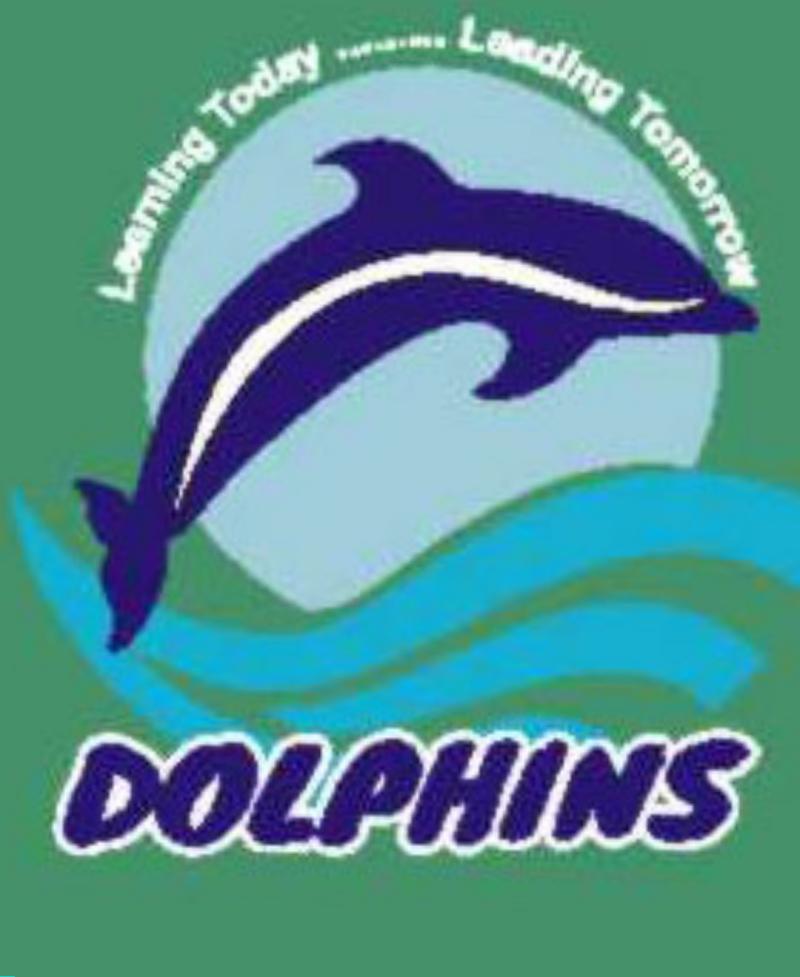 dolphins tomorrow