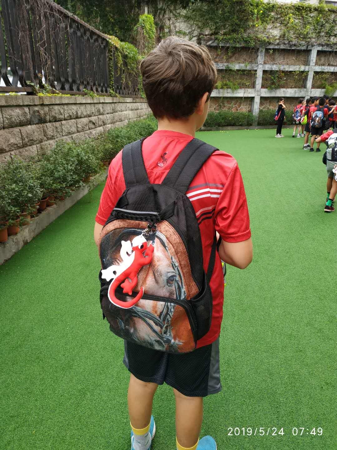 Shekou International School on LinkedIn: #sisrocks #onceageckoalwaysagecko Shekou International School on LinkedIn: #sisrocks #onceageckoalwaysagecko
