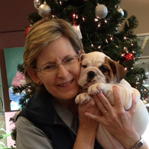 Ann Allen Salter - veterinarian/owner - Carriage Hills Animal Hospital;  Vaughn Road Veterinary Clinic | LinkedIn
