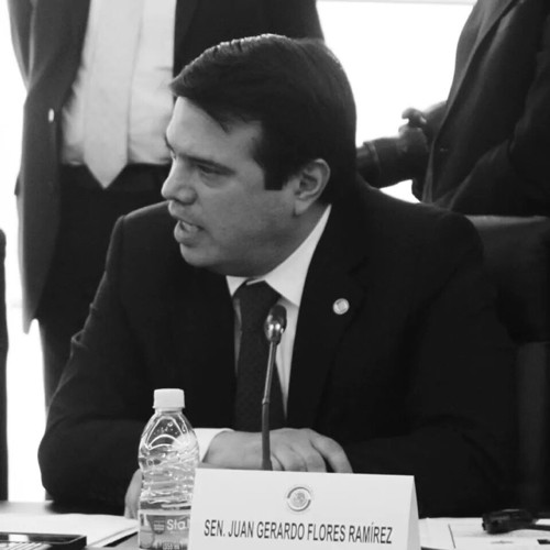 Gerardo Flores Ramírez - Coodinador de Agenda Legislativa - Partido Verde  Ecologista de México | LinkedIn