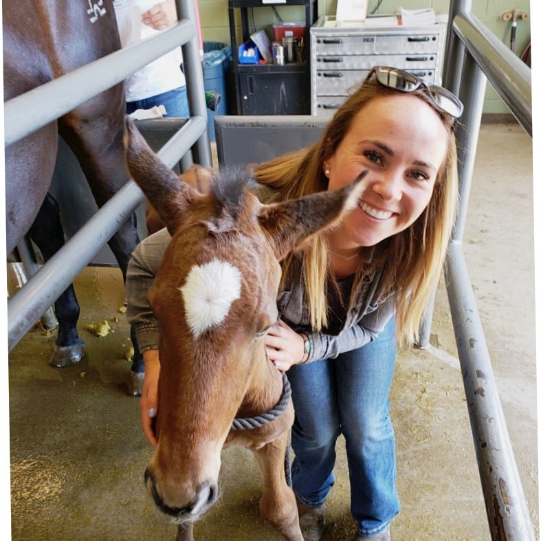 Emily Bloom - Veterinarian - Broadway Animal Hospital | LinkedIn