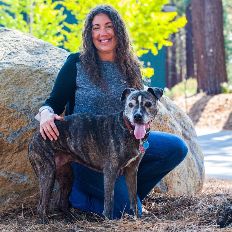 Mariel Berei - South Lake Tahoe Program Manager - Humane Society of Truckee  Tahoe | LinkedIn
