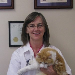 Shirley Fouse - Owner/Veterinarian - Shawnee Animal Hospital | LinkedIn