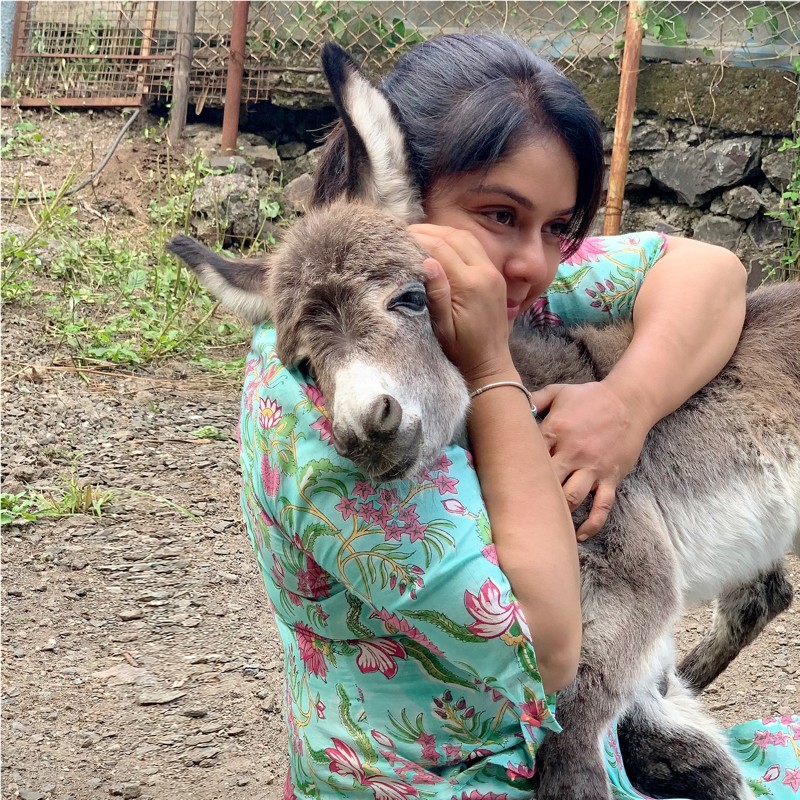 Sharanya Shetty - Founder - Sharan for Animals | LinkedIn
