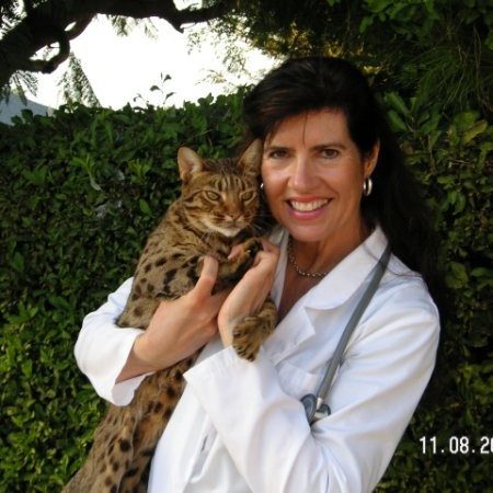 Maggie Gamble, DVM - Veterinarian - Amigo Animal Hospital | LinkedIn