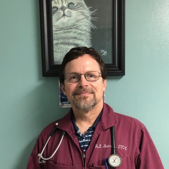 Robert Skidmore - Associate Veterinarian - Cornerstone Animal Hospital |  LinkedIn