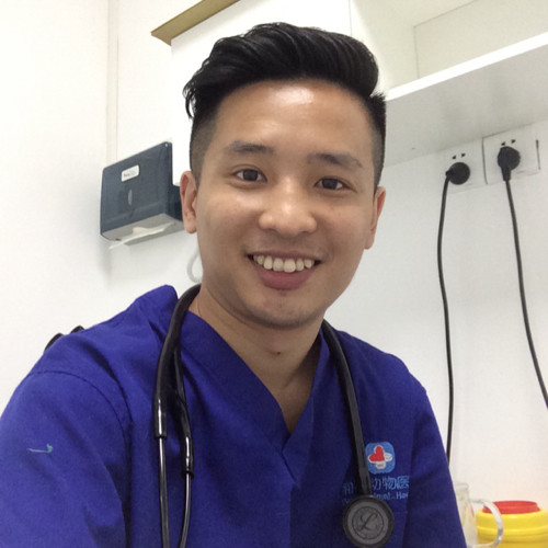 Stephen Lai - Veterinary Surgeon - Peace Animal Hospital | LinkedIn