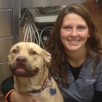 Jennifer Anderson - Veterinary Technician - McKinney Animal Hospital |  LinkedIn