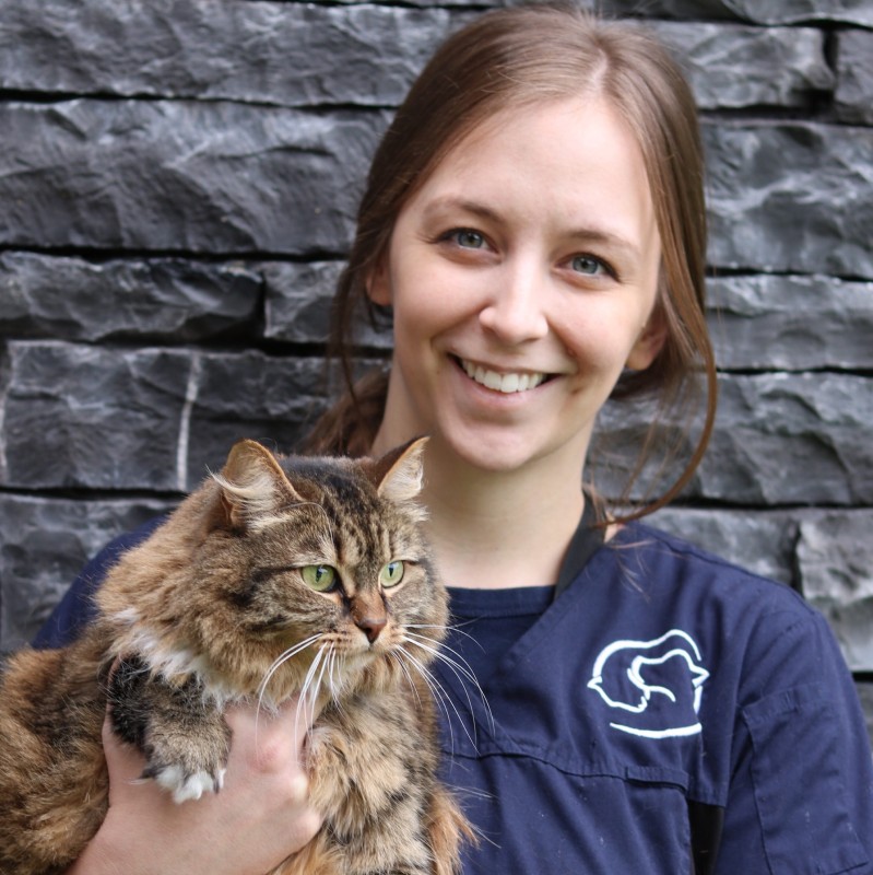 Courtney Parsons - Associate Veterinarian - Mountainside Animal Hospital &  24 Hour Emergency Services | LinkedIn
