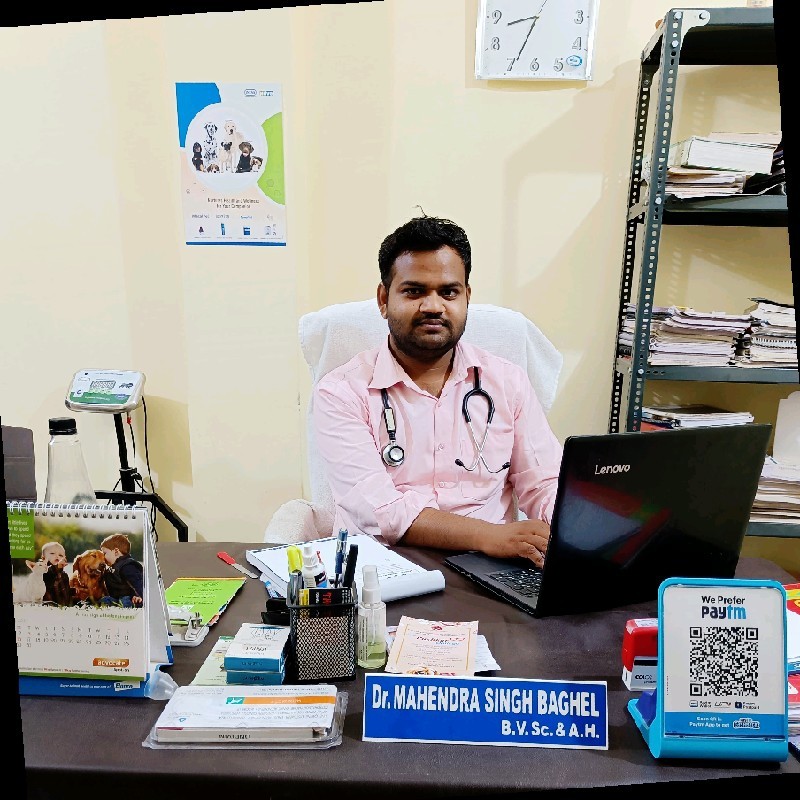 Dr. Mahendra Singh Baghel - Director - BAGHEL PET CLINIC, BHOPAL | LinkedIn