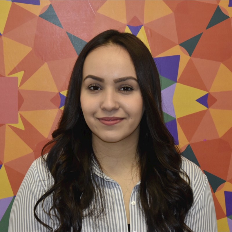 Karina Cabrales - School Social Worker - Chicago Public Schools | LinkedIn