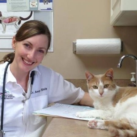Amy Shirley - Veterinarian - Amy Shirley Veterinary Services | LinkedIn