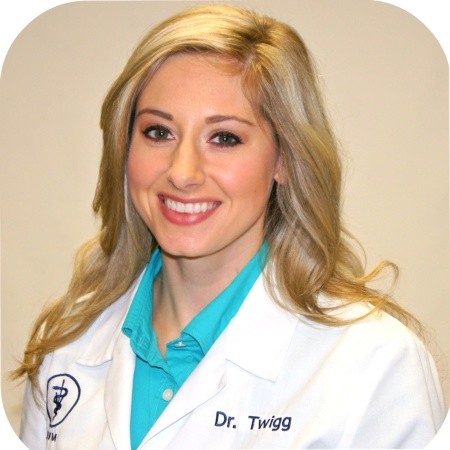 Nicole Twigg - Veterinarian - Waynesboro Veterinary Clinic | LinkedIn