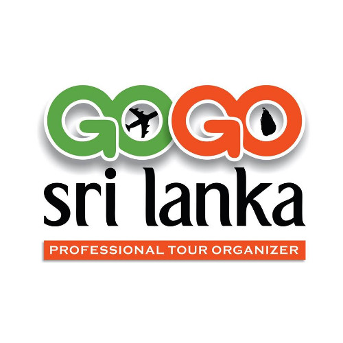 gogo travel tour operator