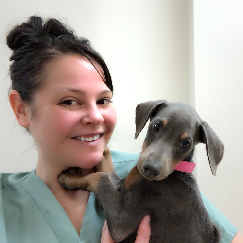 TIFFANY KISTNER - Animal Care Technician - Puppies N Love | LinkedIn