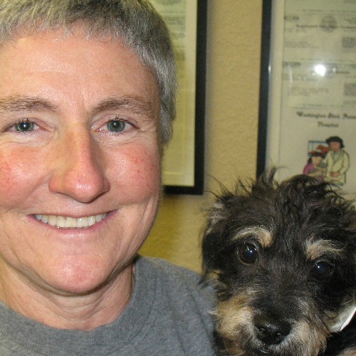 Debra Donan - associate veterinarian - Santa Ana Veterinary Hospital |  LinkedIn