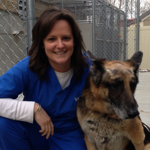 Jackie Kelleher - Certified Canine Rehab Practitioner - VCA South Shore  Animal Hospital | LinkedIn
