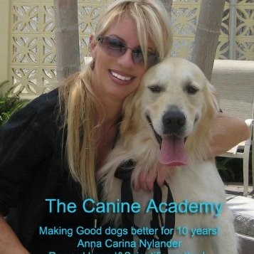 Anna Carina Nylander - Owner/ The Swedish Dog Whisperer - The Canine  Academy | LinkedIn