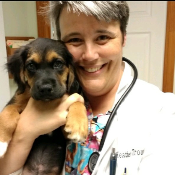 Heather Trout - Veterinarian - New Baltimore Animal Hospital | LinkedIn