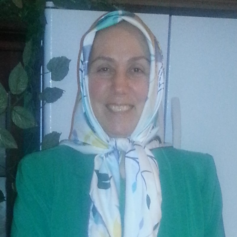 Maryam Ghasami - English Language Instructor - San Jose State ...