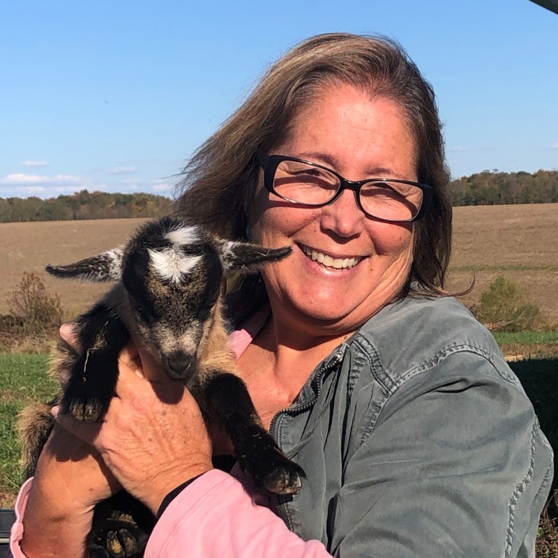 Judy Foster - Goat Herd Wrangler & Chief Milking Guru - Lu Lu's Suds |  LinkedIn