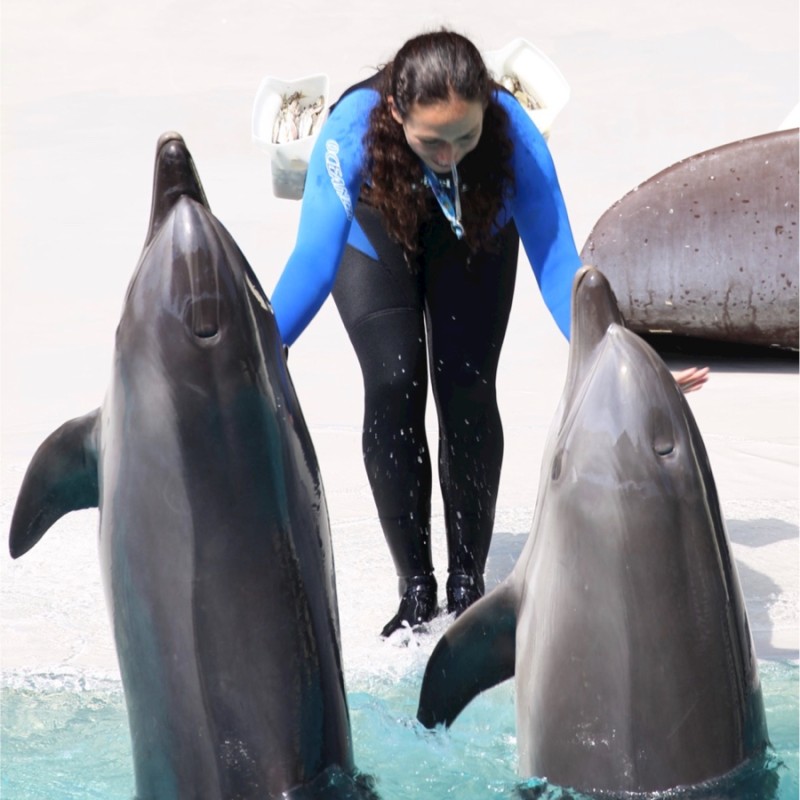 Debbie Silva-Gruber - Marine Mammal Trainer - Vancouver Aquarium | LinkedIn