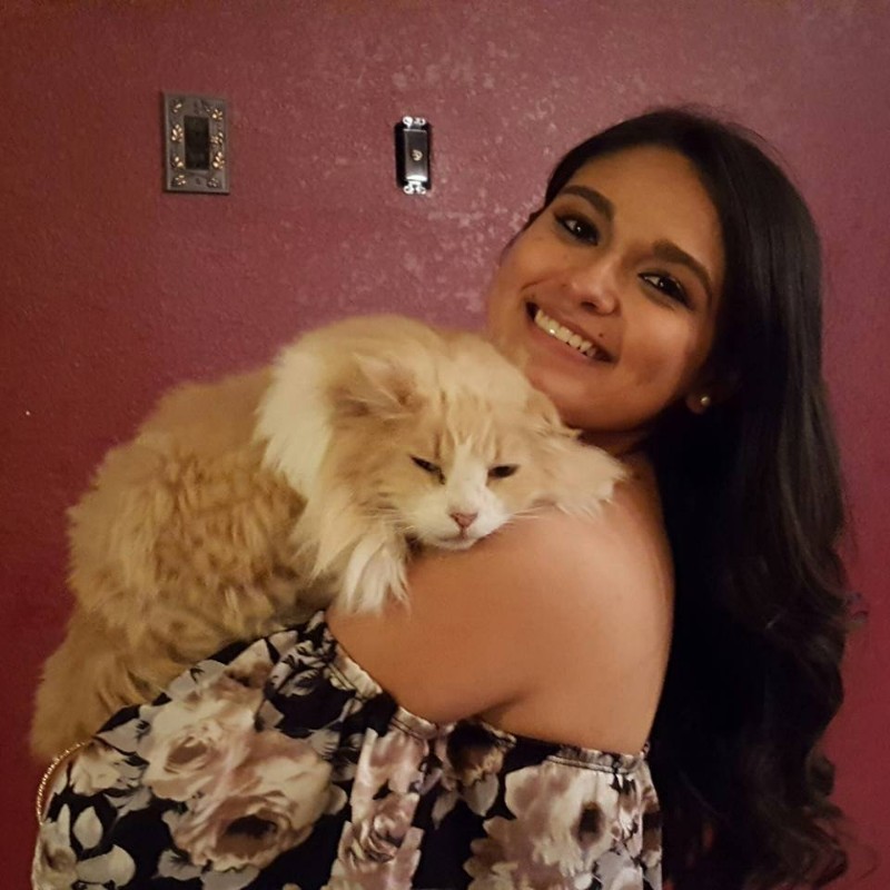 Vanessa Sanchez - Relief Veterinary Assistant - Crossroads Animal Emergency  | LinkedIn