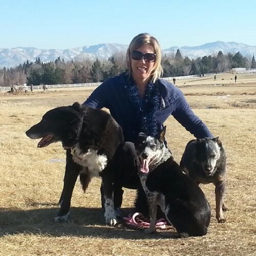 Shyanne Schull - Director - Washoe County Regional Animal Services |  LinkedIn