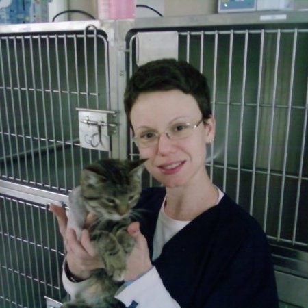 Lezley Gold - Locum Registered Veterinary Technician - Sherbourne Animal  Hospital | LinkedIn