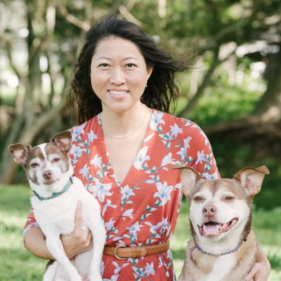 Heidi Choy - Veterinarian - Oahu Veterinary Clinic | LinkedIn
