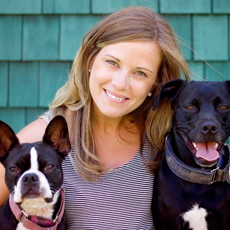 Nicole Reid - Practice Manager - Sherbourne Animal Hospital | LinkedIn