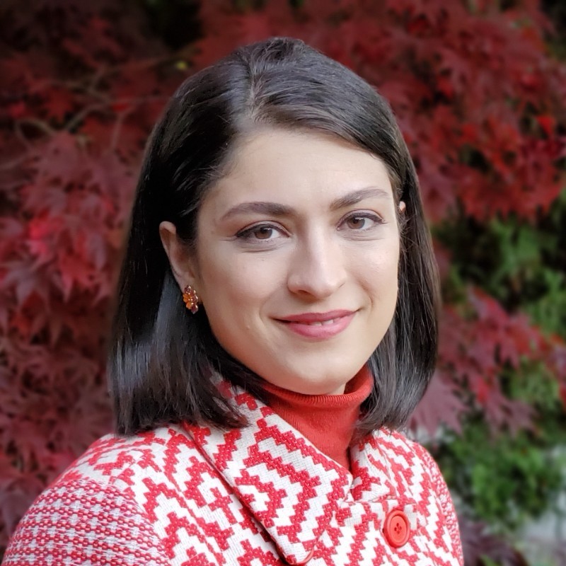 Nazanin Rezaei - User Experience Researcher - BC Public Service | LinkedIn