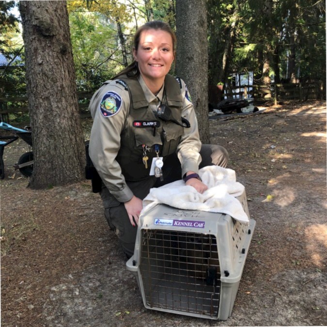 Lindsay Clarke - Supervisor of Parking and Animal Services - The  Corporation of The Town of Aurora | LinkedIn