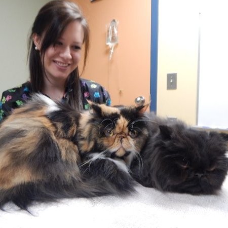 Hilary Baker - Veterinary Assistant - Rice Lake Animal Hospital | LinkedIn