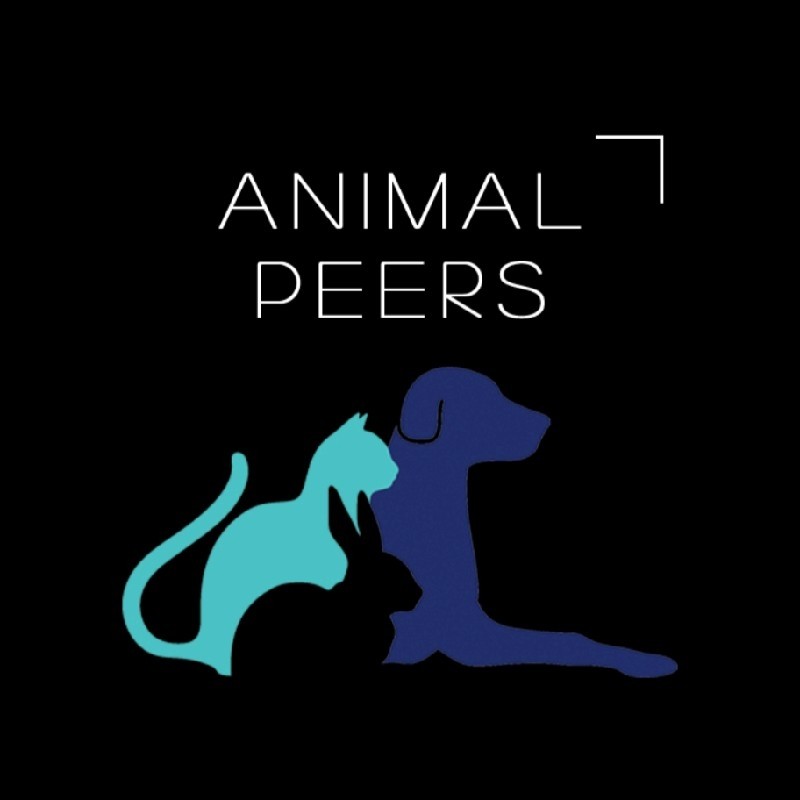 ANIMAL PEERS - ANIMAL WELFARE AGENCY - ANIMALPEERS | LinkedIn