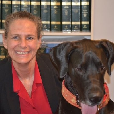 Calley Gerber - Founding Attorney - Gerber Animal Law Center | LinkedIn