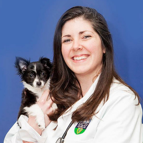 Molly Maddock - Veterinarian - Montana Veterinary Specialists & General  Care | LinkedIn