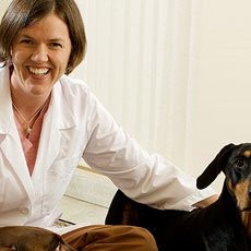 Kristan Gutowski - Veterinarian - Herndon Animal Medical Center | LinkedIn