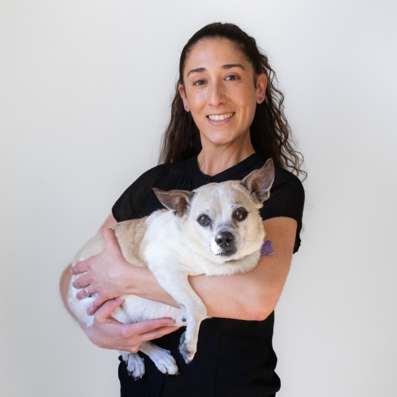 Sara Maria Muriello - Director of Project Management - Santa Fe Animal  Shelter | LinkedIn