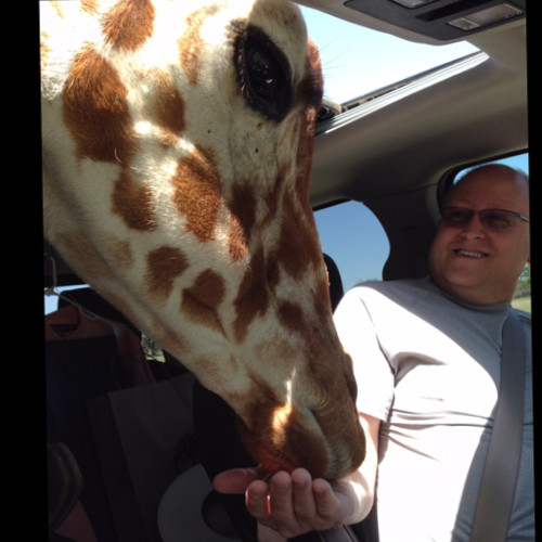 Ricky Garrett - Director Of Operations - Safari Wild Animal Park | LinkedIn