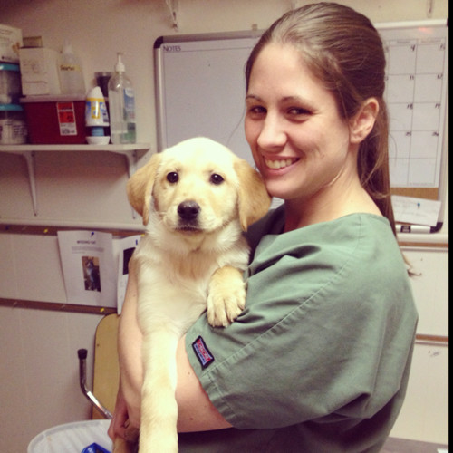 Kristin Setz-Williams, DVM - Veterinarian - Back 2 Basics Veterinary Clinic  | LinkedIn