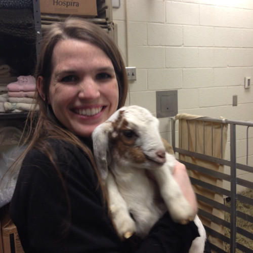 Andrea Kuehn - Associate Veterinarian - River Forest Animal Hospital |  LinkedIn