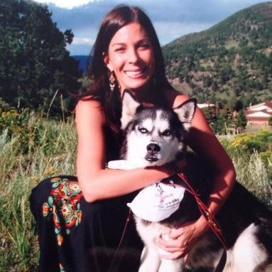 Allison Jenkins - Owner/veterinarian - Highlands Animal Clinic | LinkedIn