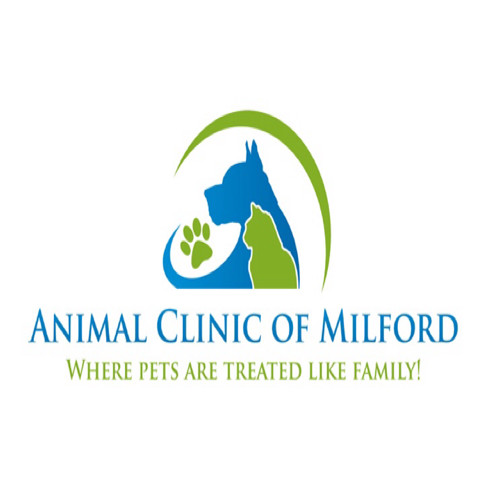 Thomas Maley, DVM - Owner Operator - Animal Clinic of Milford | LinkedIn