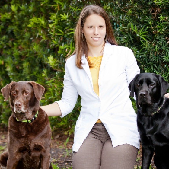 Kristin Wolfenden - Associate - Underhill Animal Hospital Inc | LinkedIn