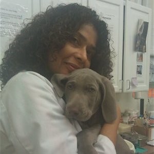 Cathy Grey - Associate Veterinarian - Shirley Veterinary Hospital | LinkedIn